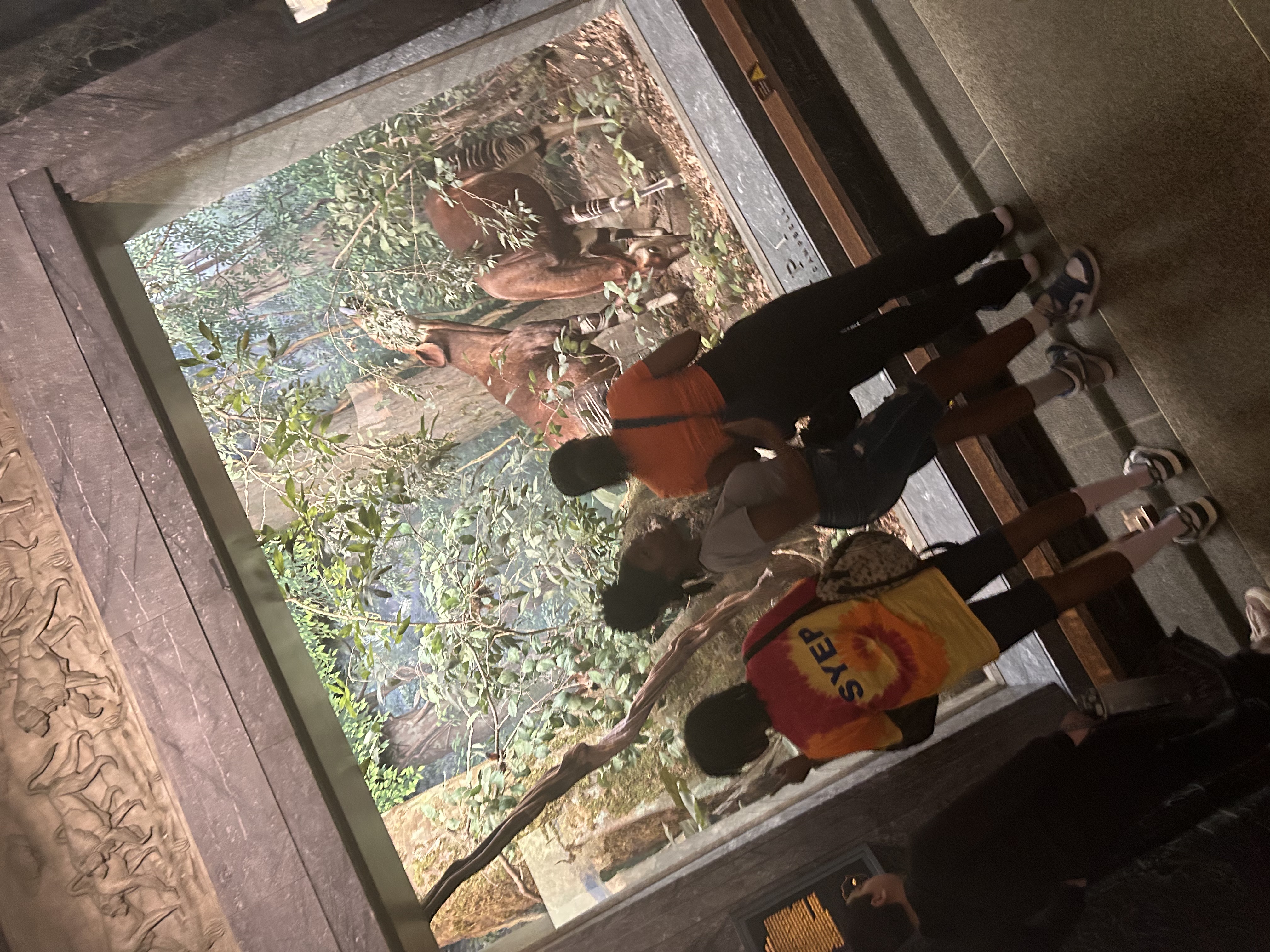 Claremont Rising Program - IMG_5504