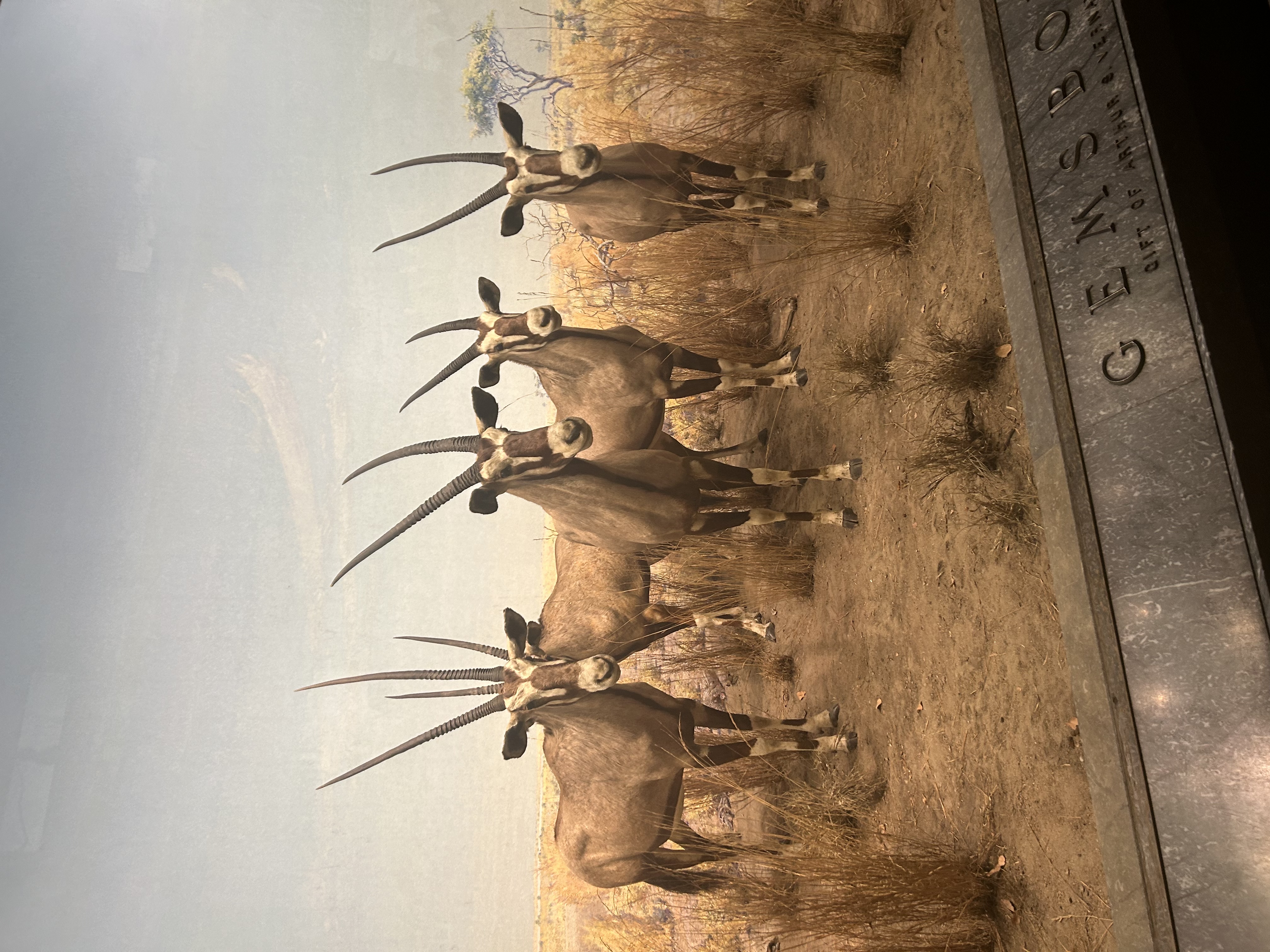 Claremont Rising Program - IMG_5507