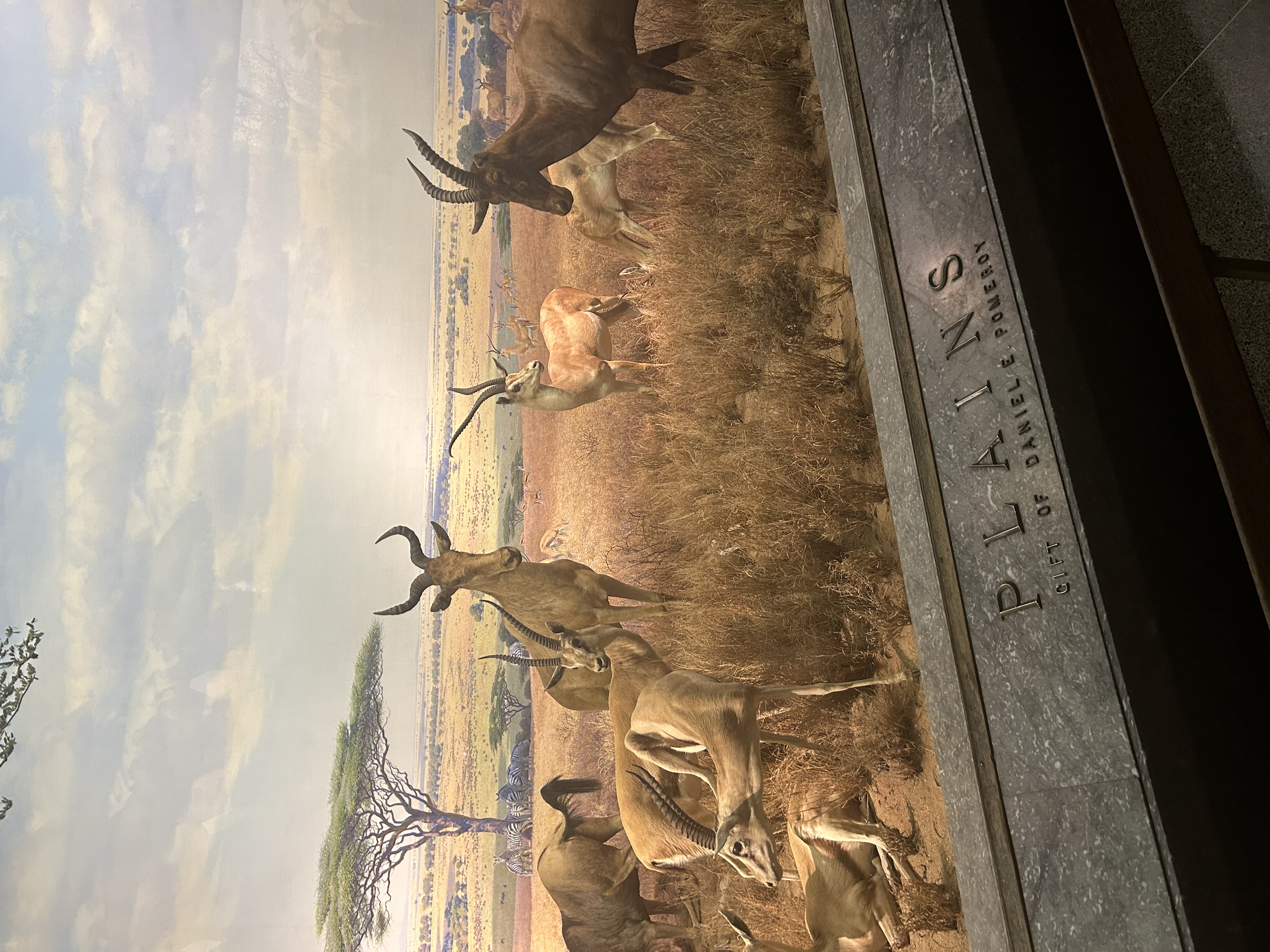 Claremont Rising Program - IMG_5514