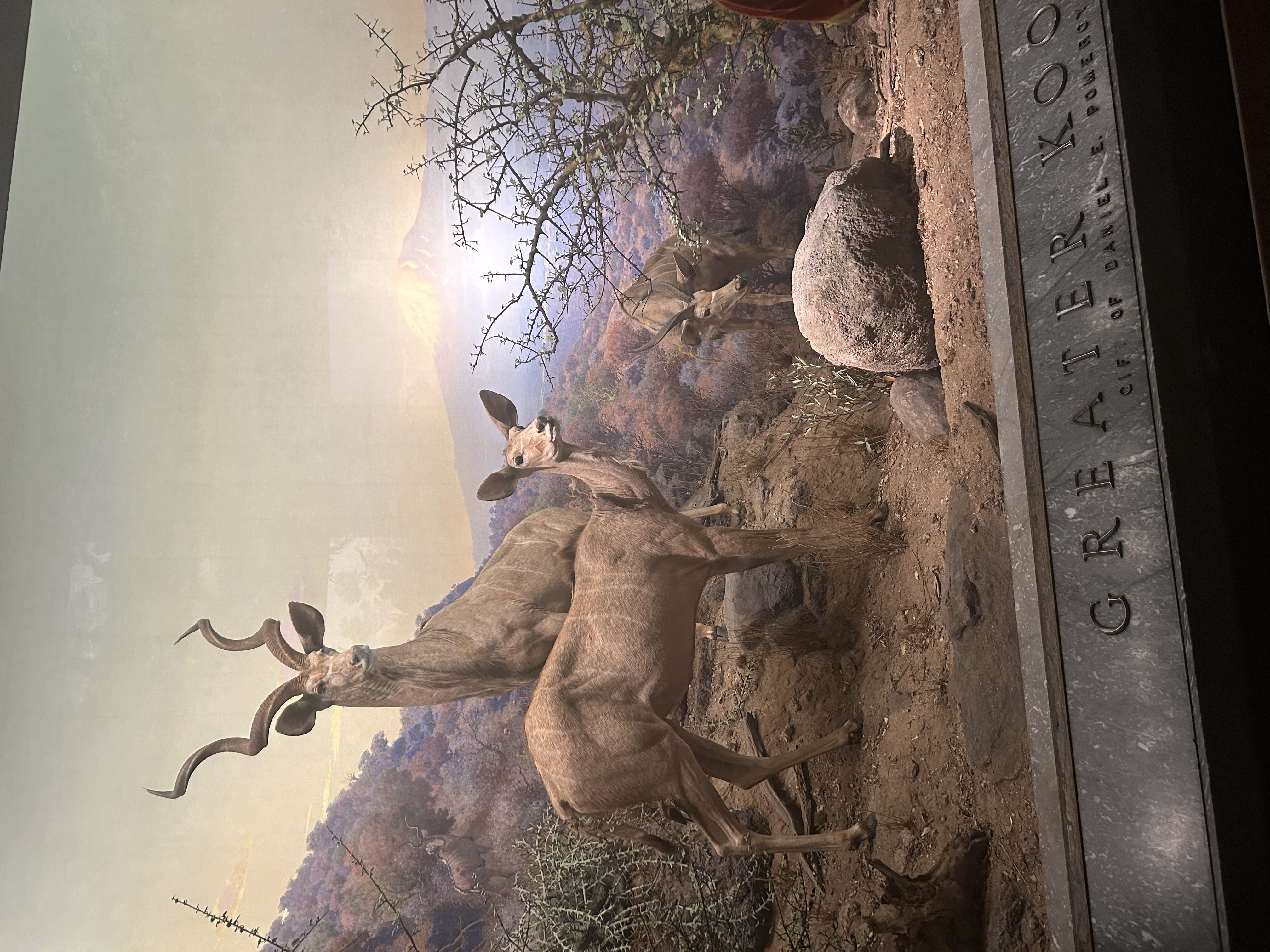 Claremont Rising Program - IMG_5517