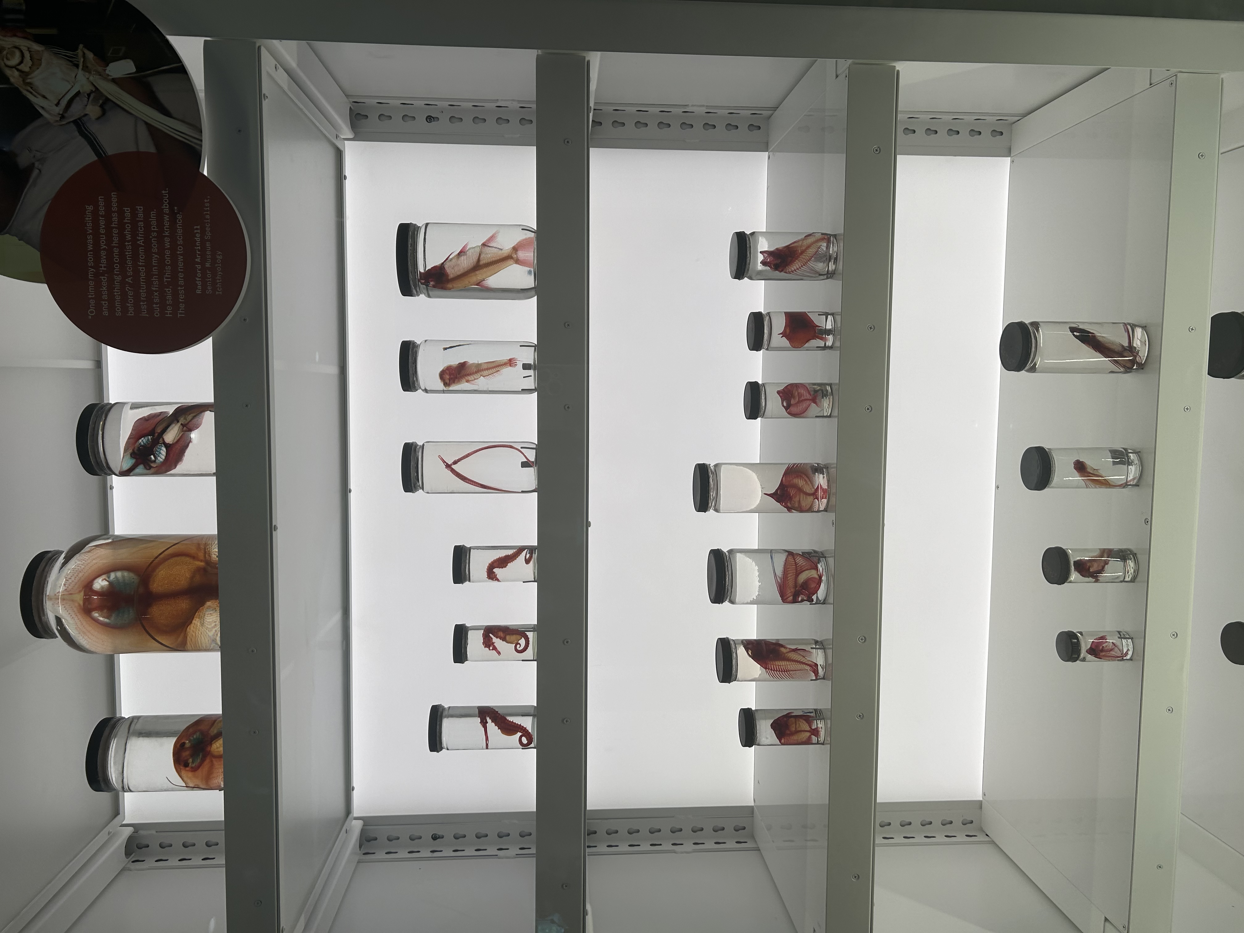 Claremont Rising Program - IMG_5525