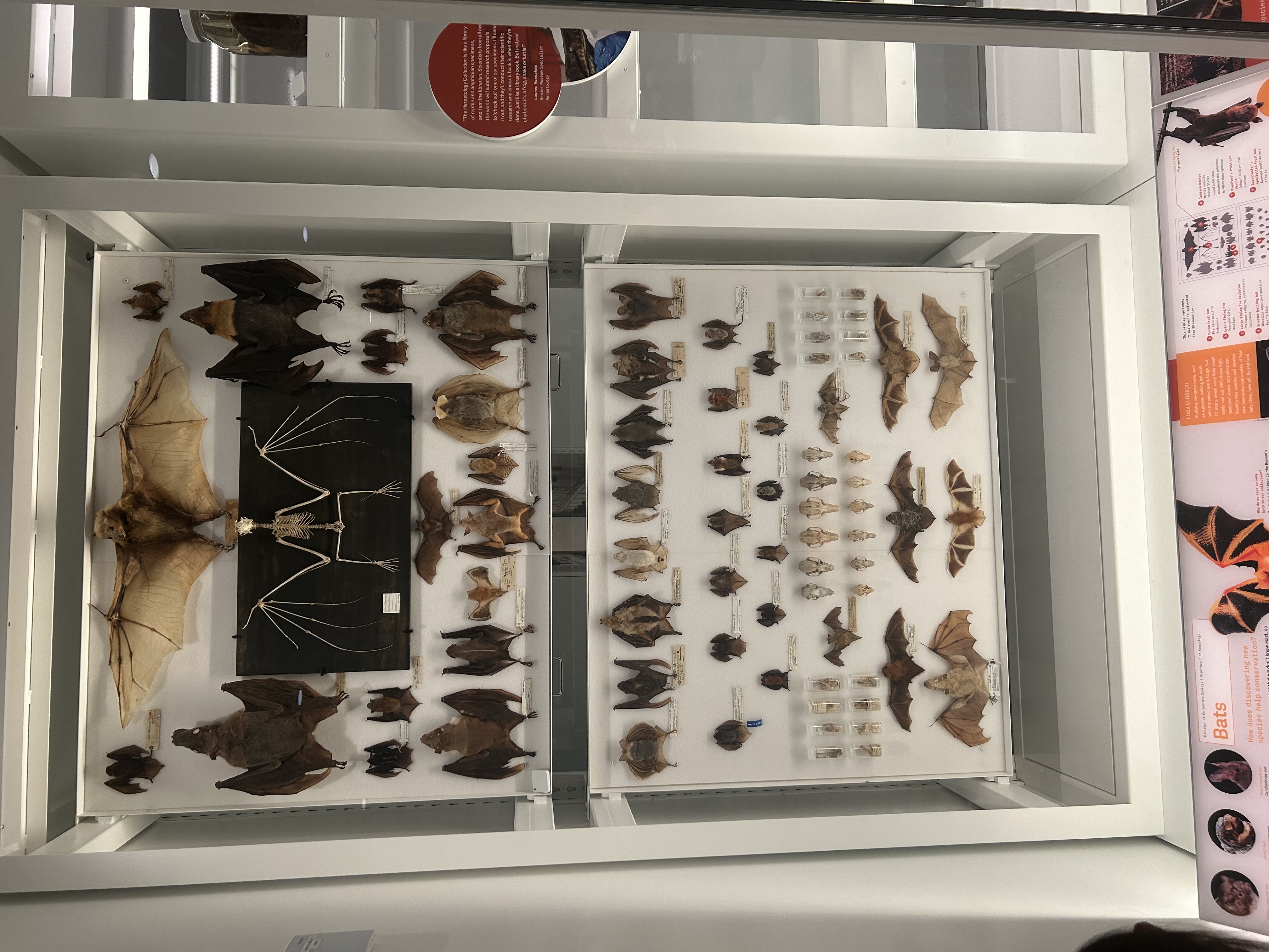 Claremont Rising Program - IMG_5531